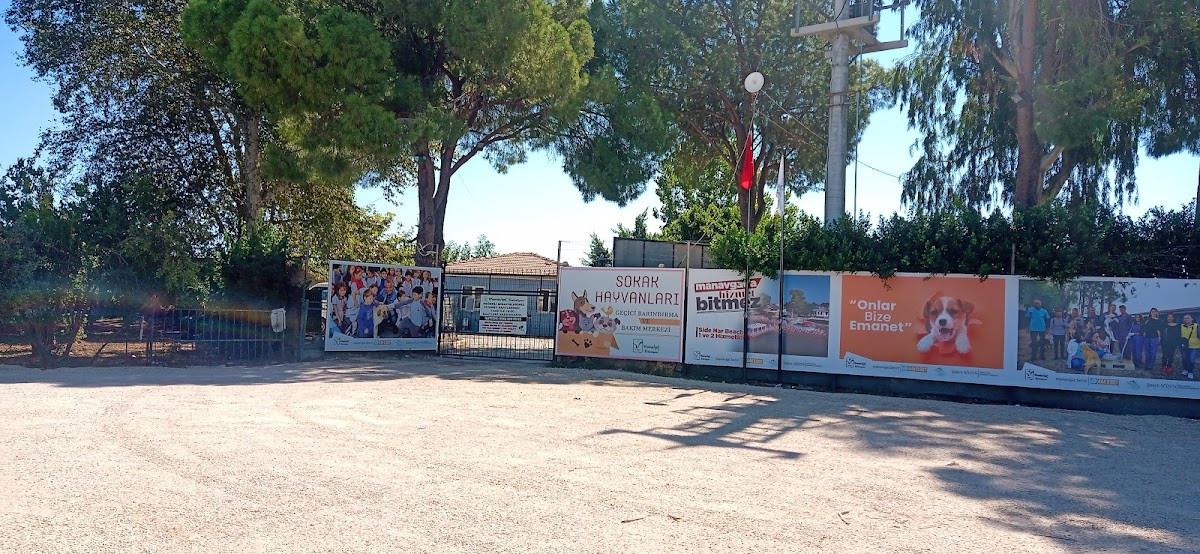 Manavgat Belediyesi Hayvan Barınağı – Fotoğraf 2
