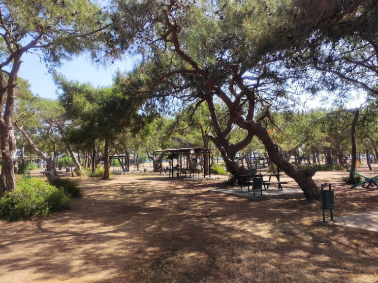 Manavgat Belediyesi Mesire Alanı — Manavgat Manavgat Temizlik