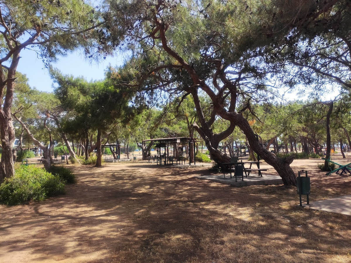 Manavgat Belediyesi Mesire Alanı – Fotoğraf 1