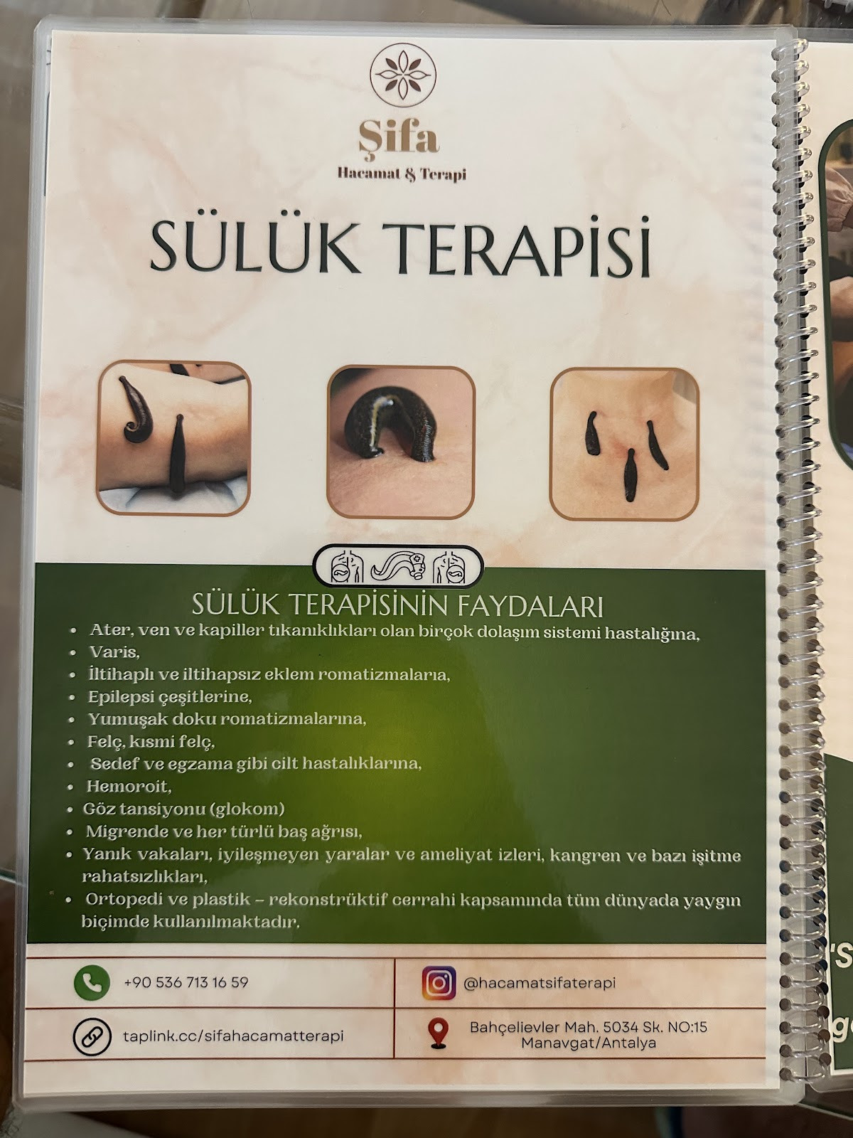 MANAVGAT DOGAL ŞİFA YAŞAM MERKEZİ – Fotoğraf 5