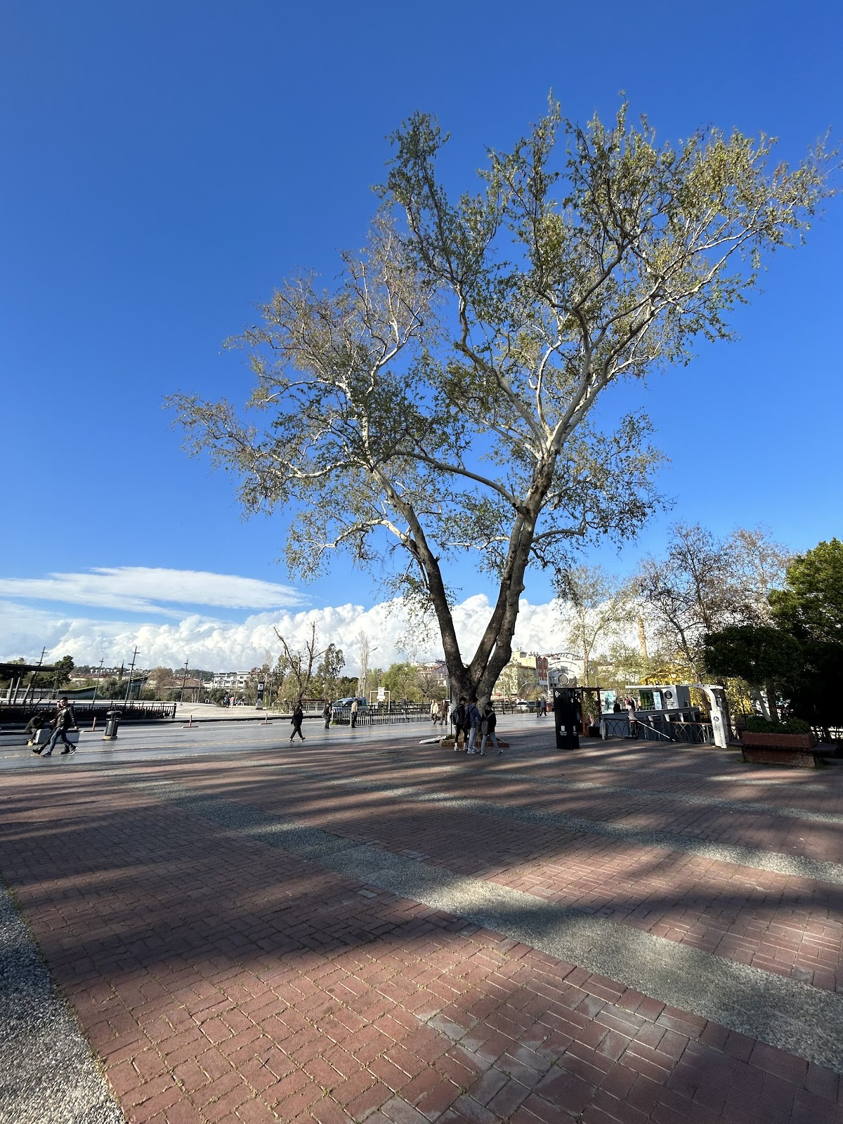 Manavgat Kent Meydanı – Fotoğraf 8