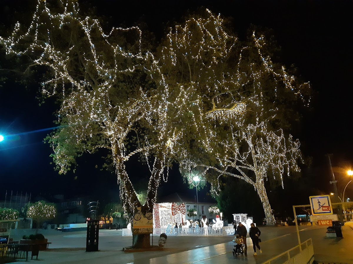 Manavgat Kent Meydanı – Fotoğraf 5