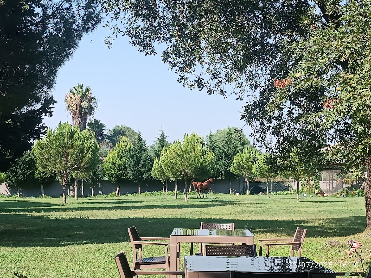 Manavgat Uygulama Oteli – Fotoğraf 8