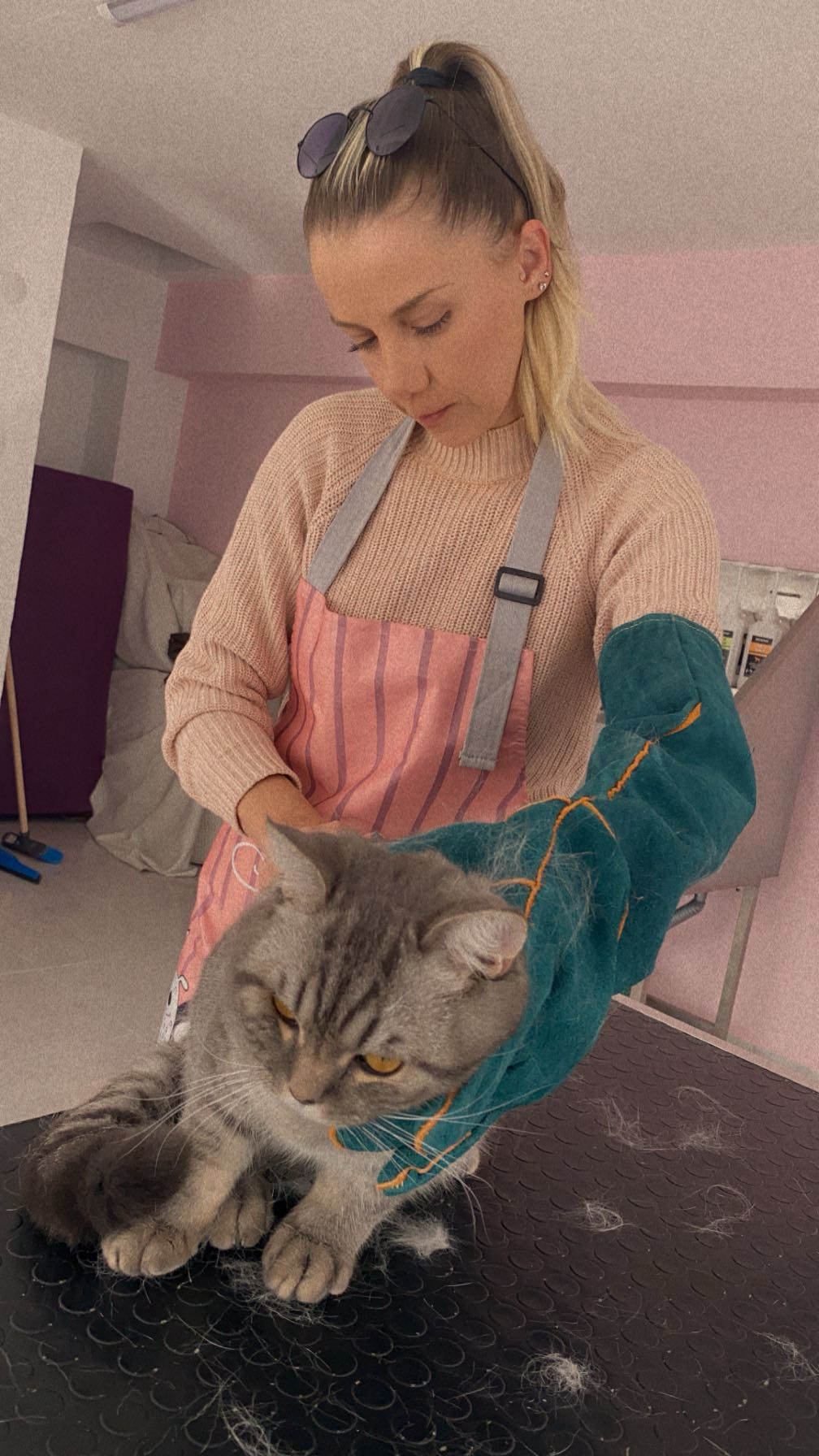 Manavgatpetkuaför – Fotoğraf 7