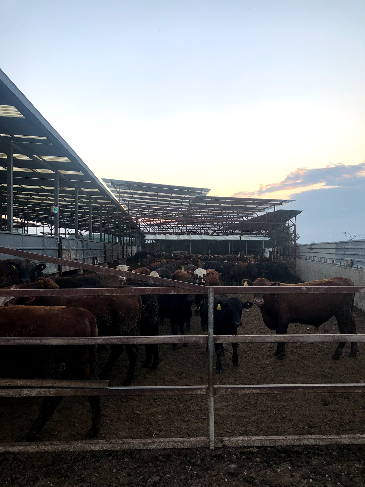 Markoç Et - Beşler Altinbiçak Et Gida Tic.Tur.Ltd.Şti. – Fotoğraf 1