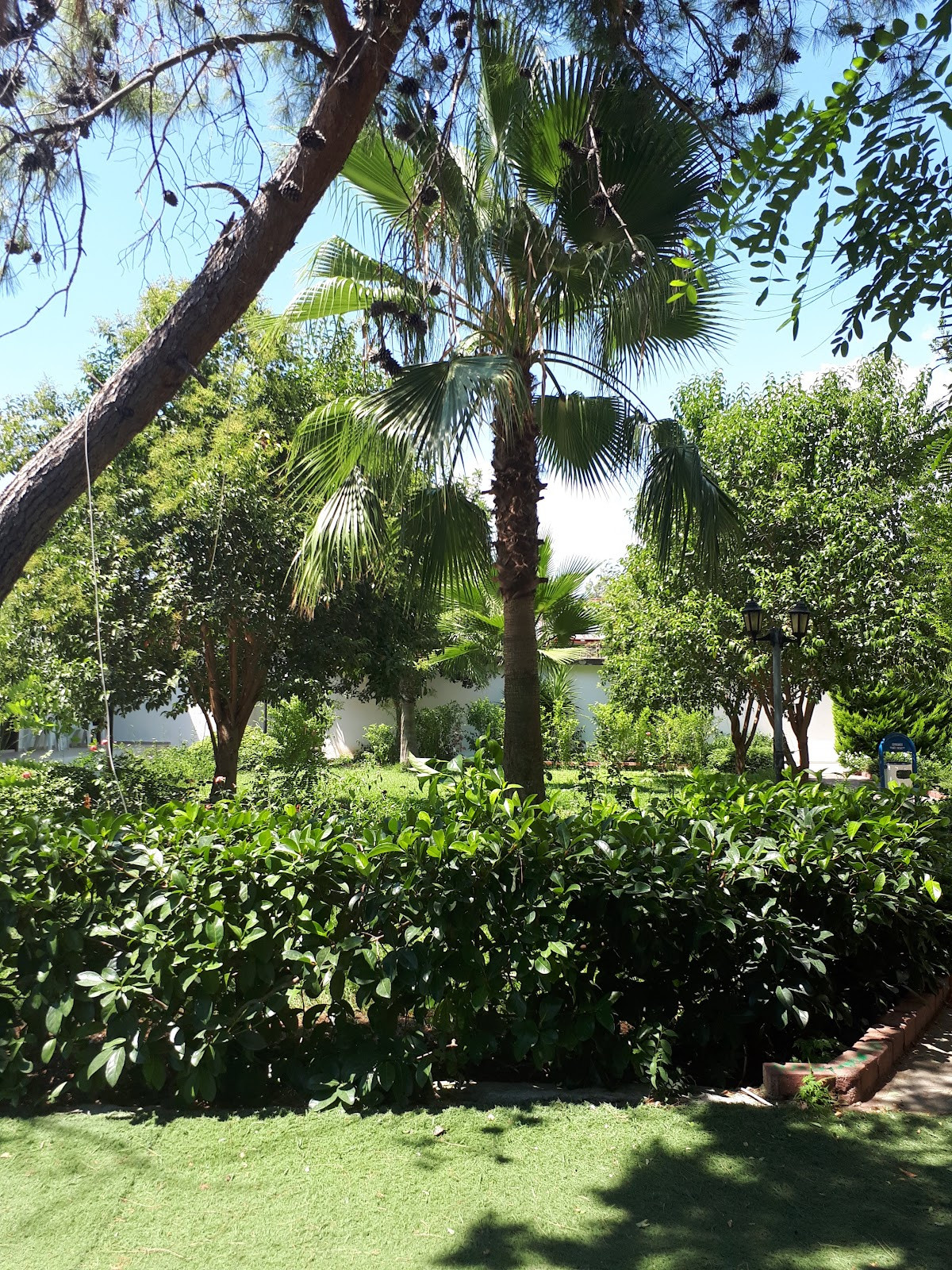 Maya World Golf Side – Fotoğraf 9