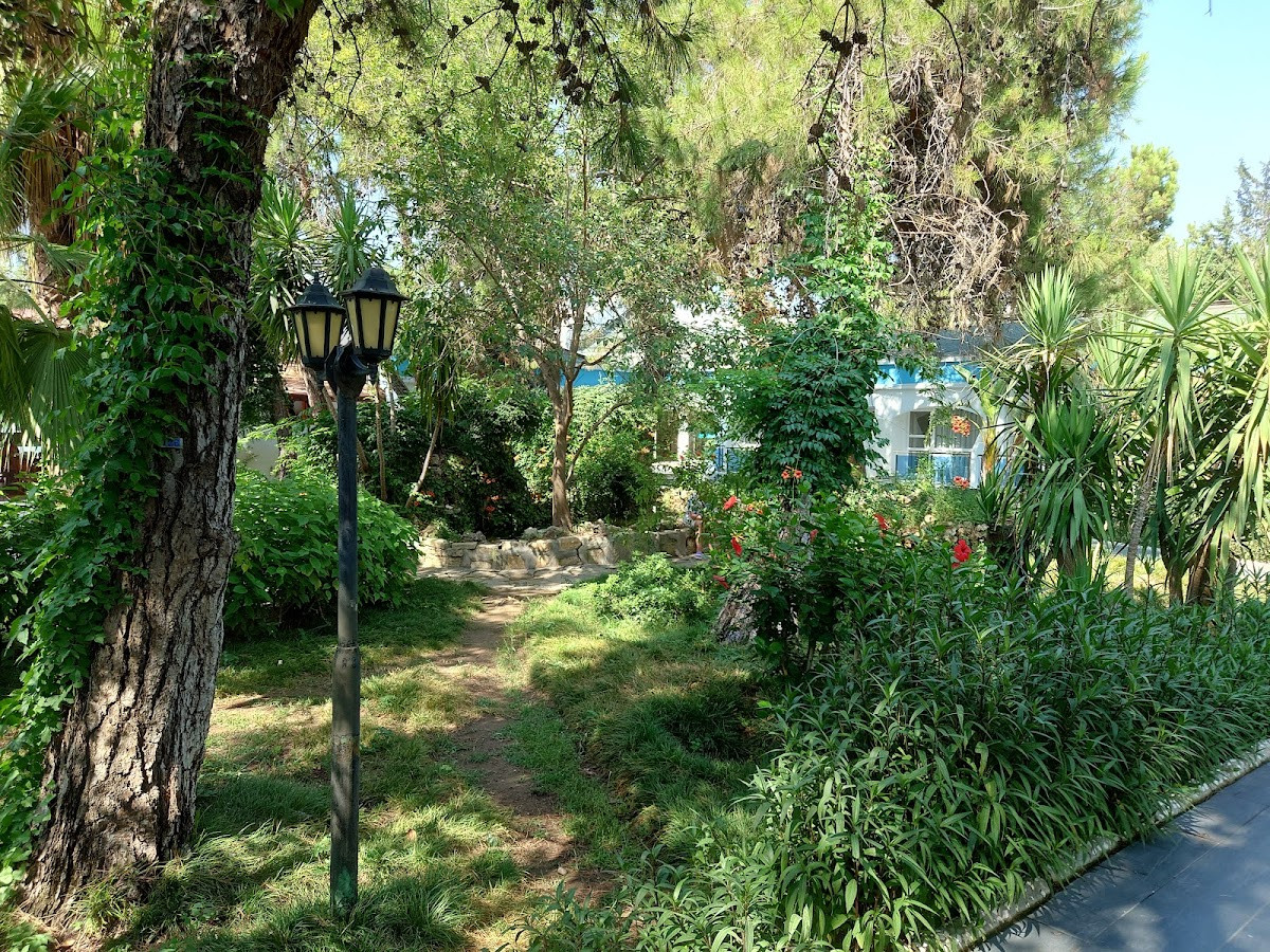 Maya World Golf Side – Fotoğraf 10