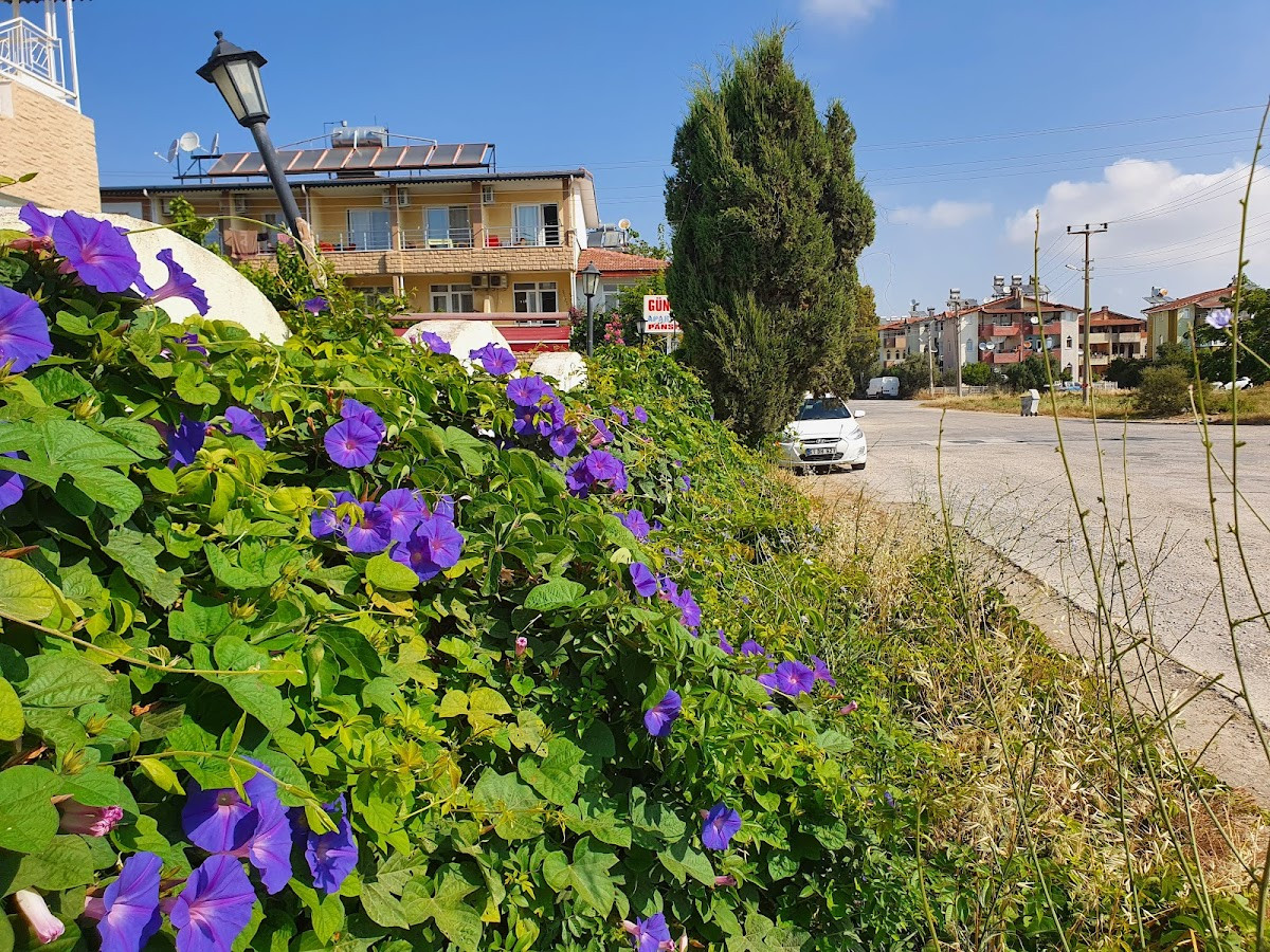 Mediterra Apart Otel – Fotoğraf 9
