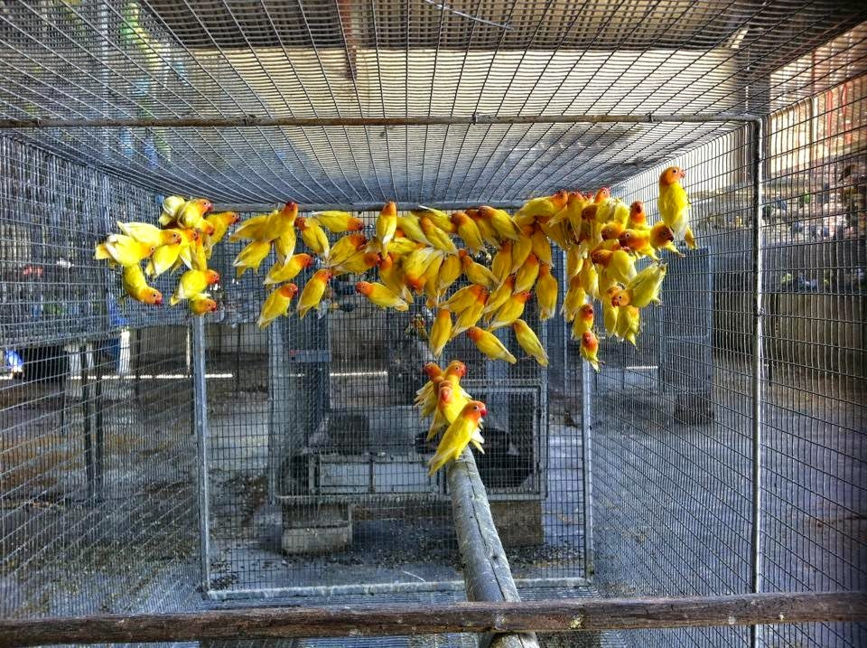 Mehmet Erdoğan – Fotoğraf 4