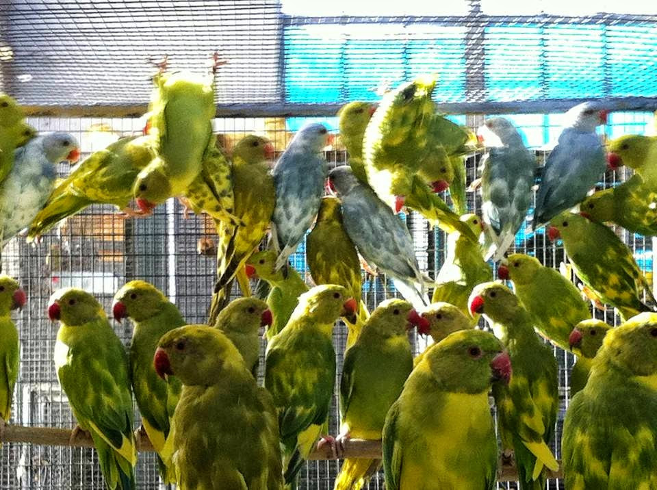 Mehmet Erdoğan – Fotoğraf 2