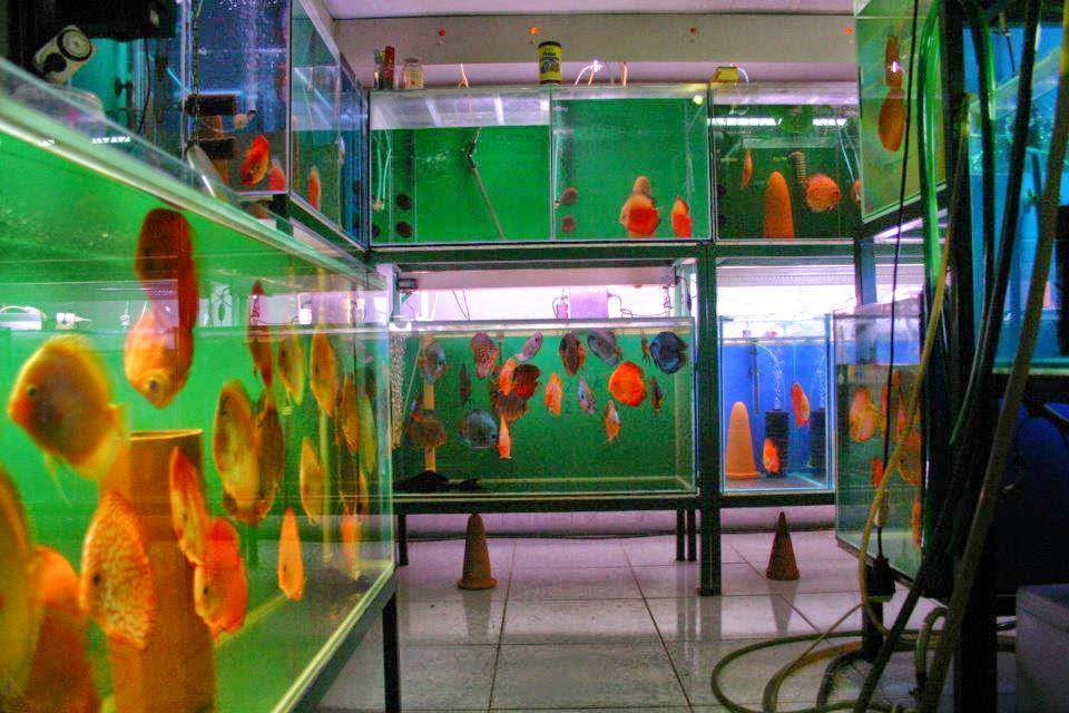 Mehmet Erdoğan – Fotoğraf 5