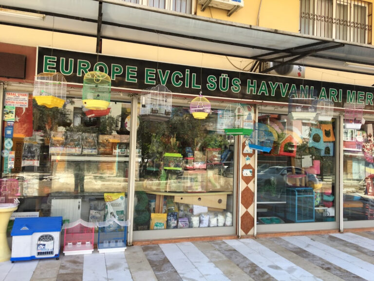 Mehmet Erdoğan — Manavgat Manavgat Kasap