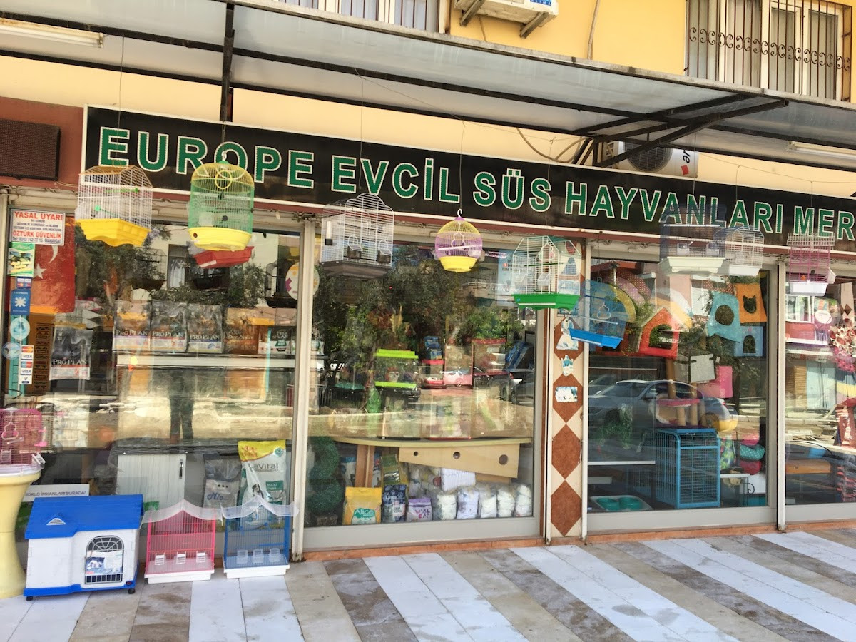 Mehmet Erdoğan – Fotoğraf 1