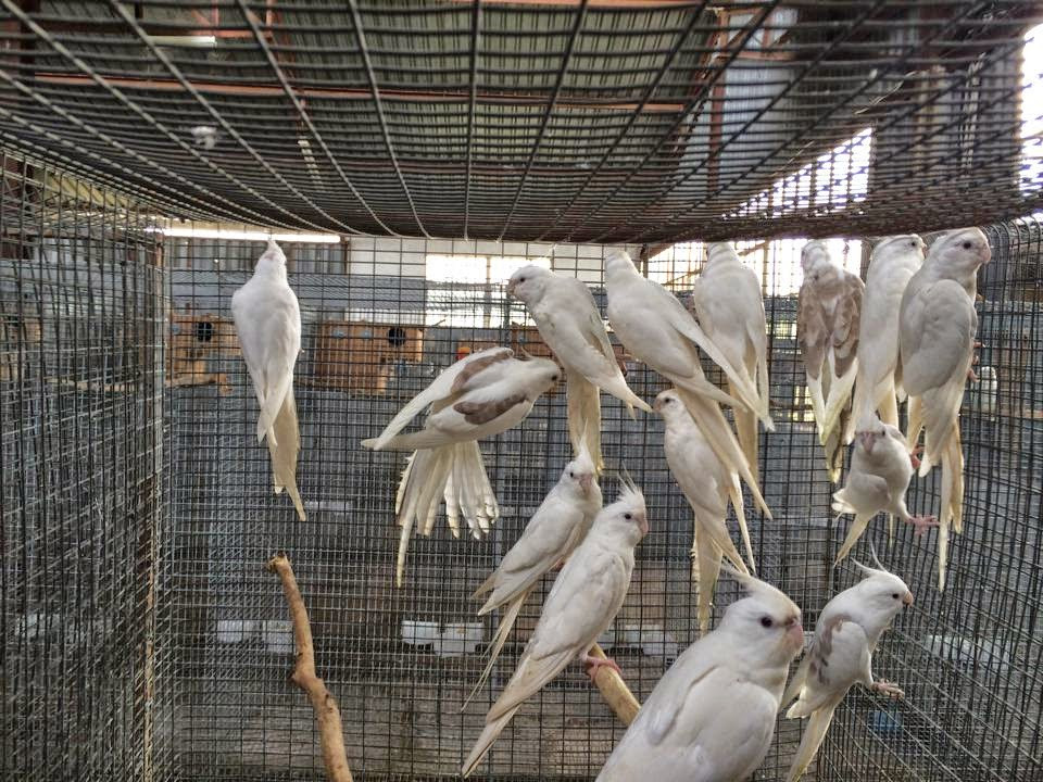 Mehmet Erdoğan – Fotoğraf 3