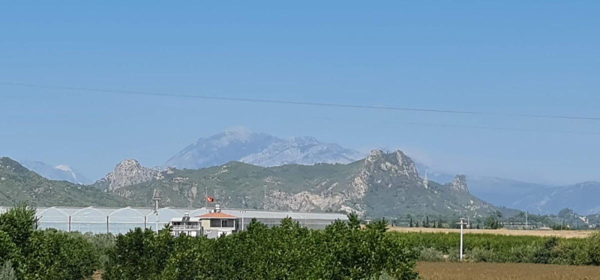 MERSİN TANTUNİ – Fotoğraf 5