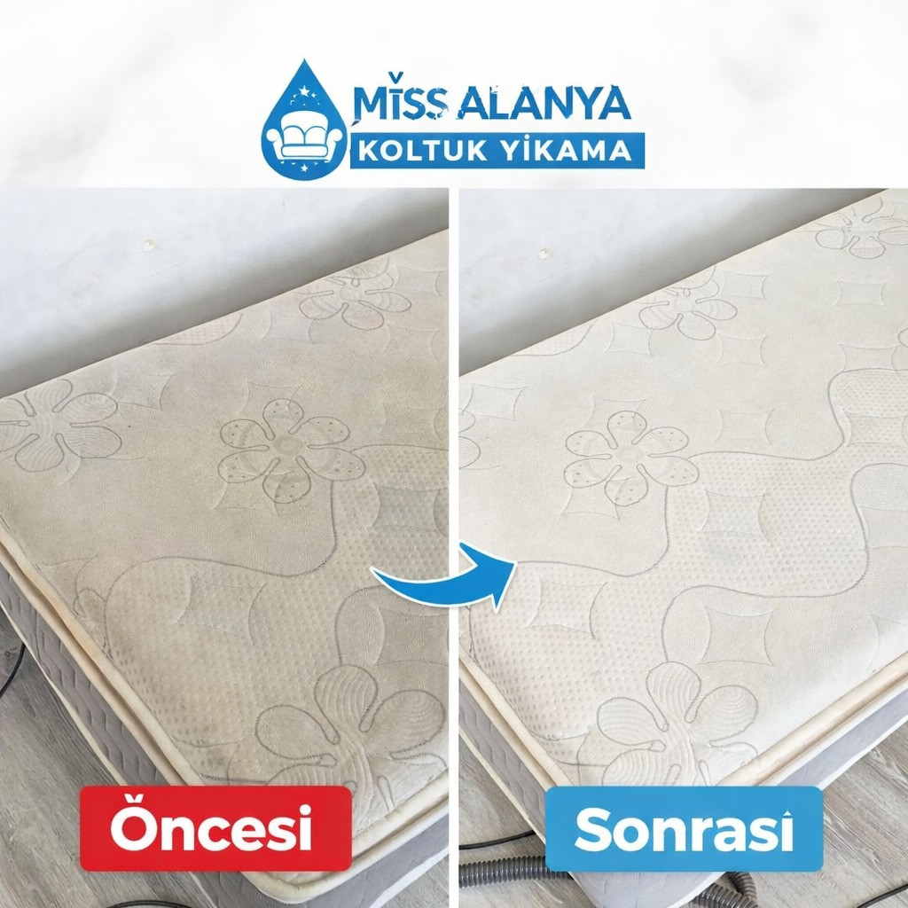 Miss Alanya Koltuk Yıkama – Fotoğraf 5