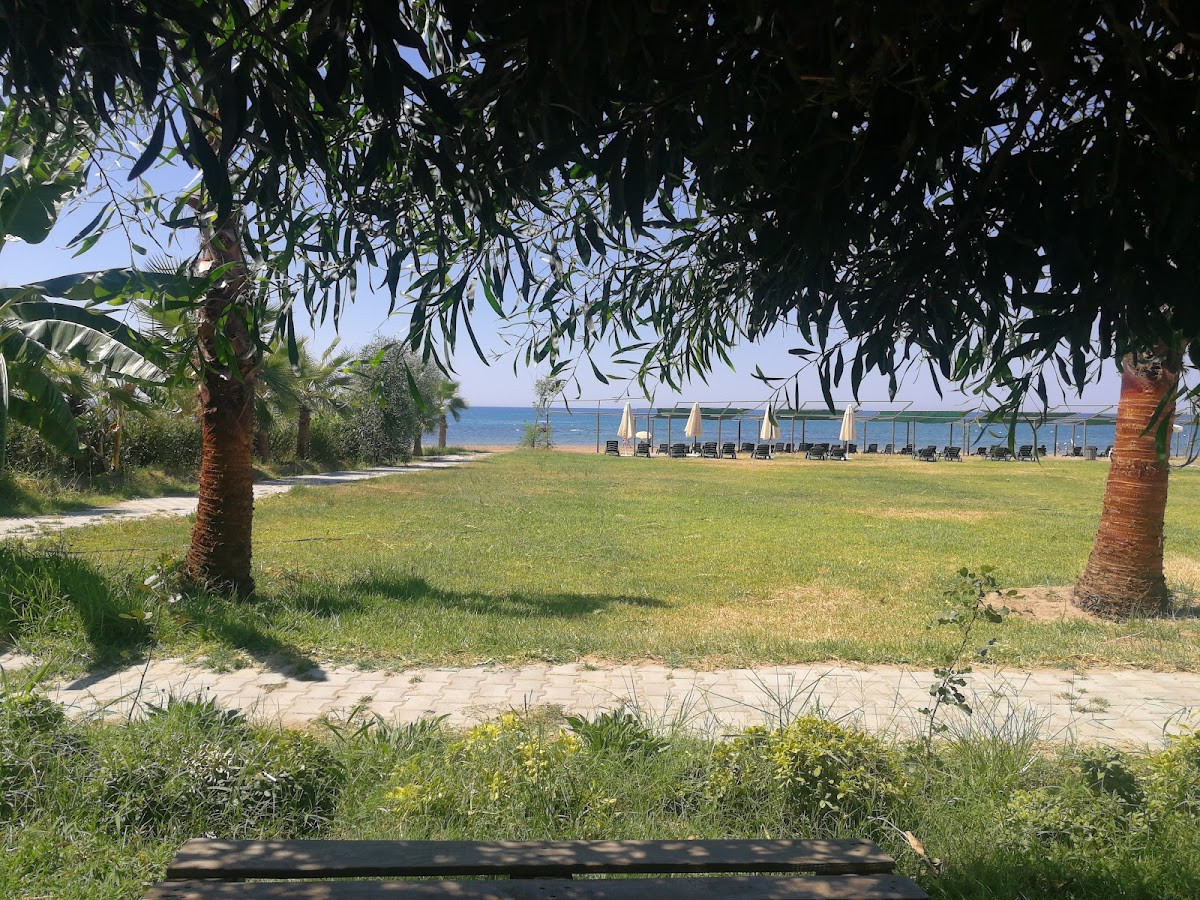 Moon beach Grill – Fotoğraf 7