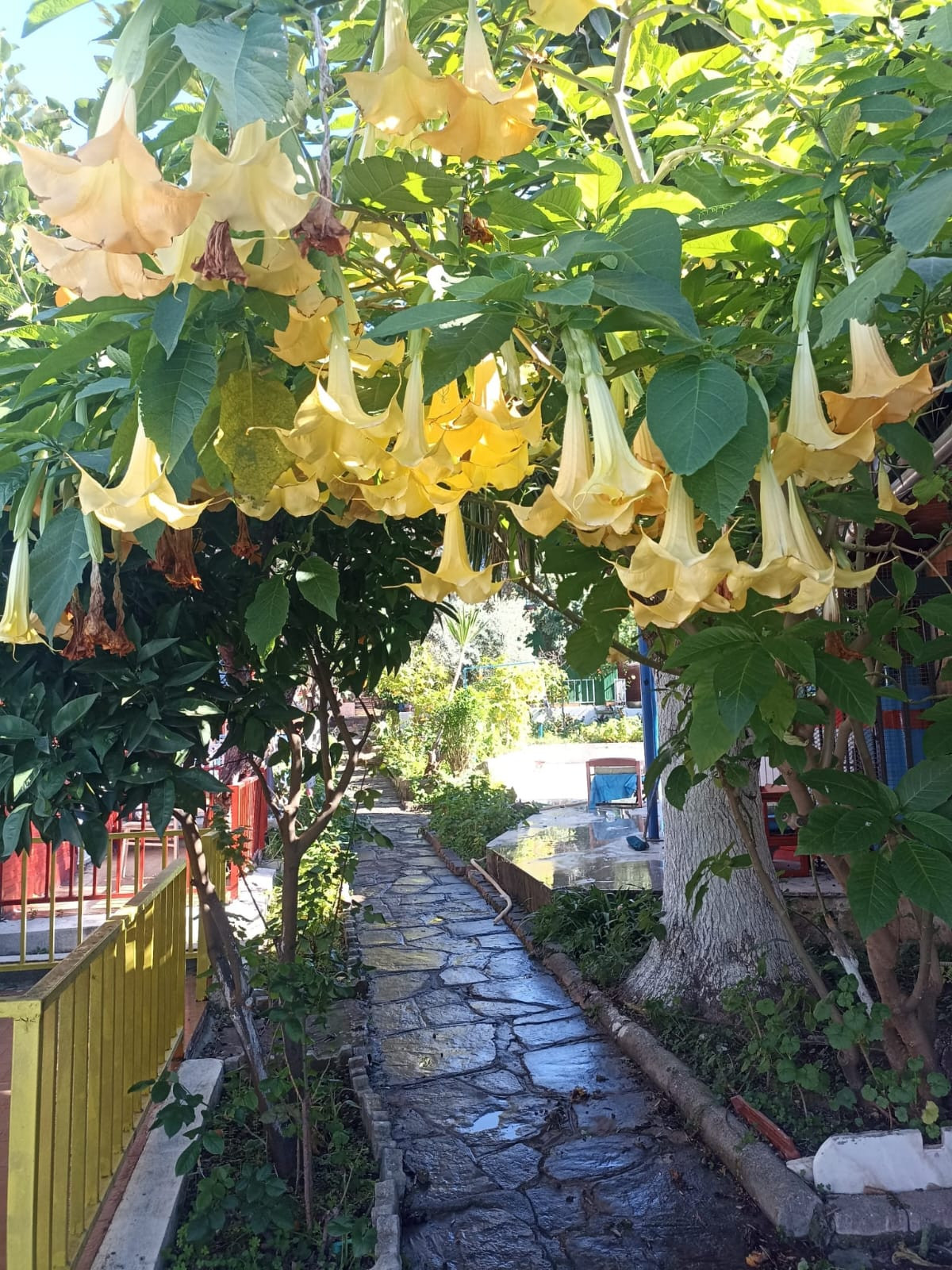 Motel Bykara – Fotoğraf 5