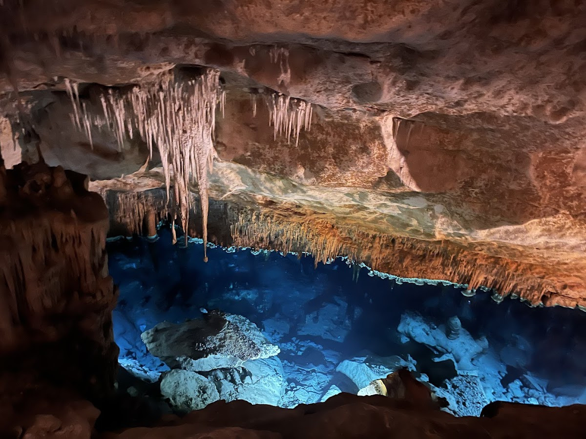 my side tours – Fotoğraf 4