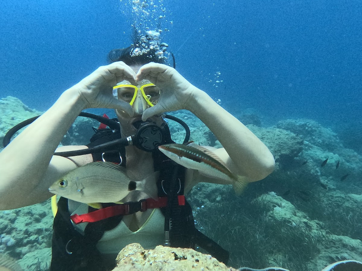 my side tours – Fotoğraf 7