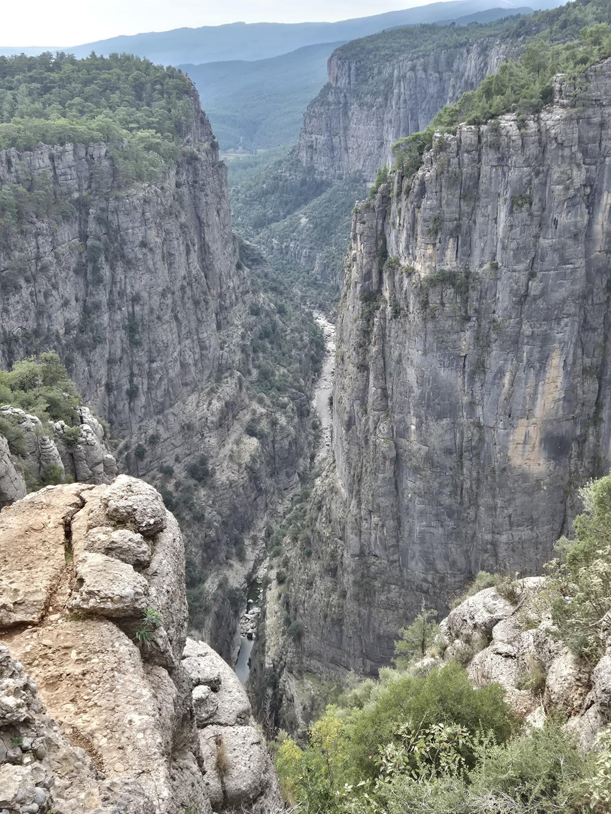 my side tours – Fotoğraf 2