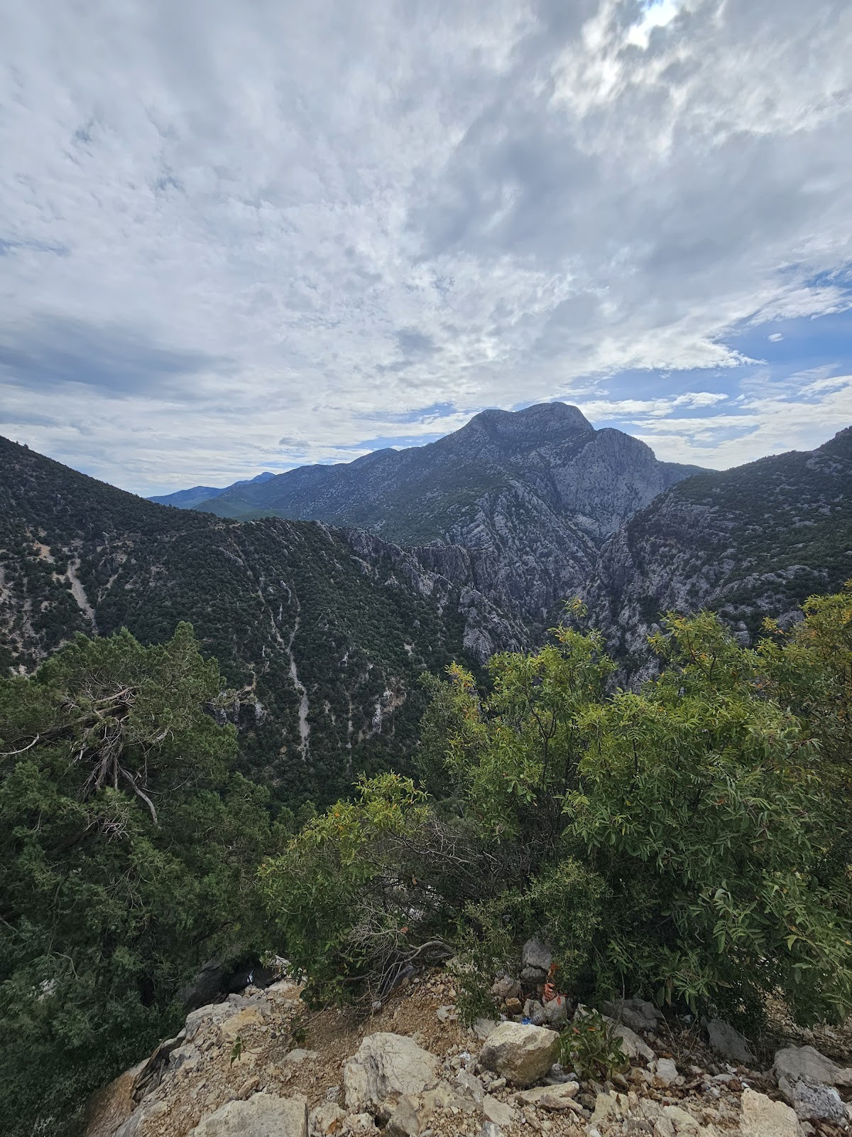 my side tours – Fotoğraf 3