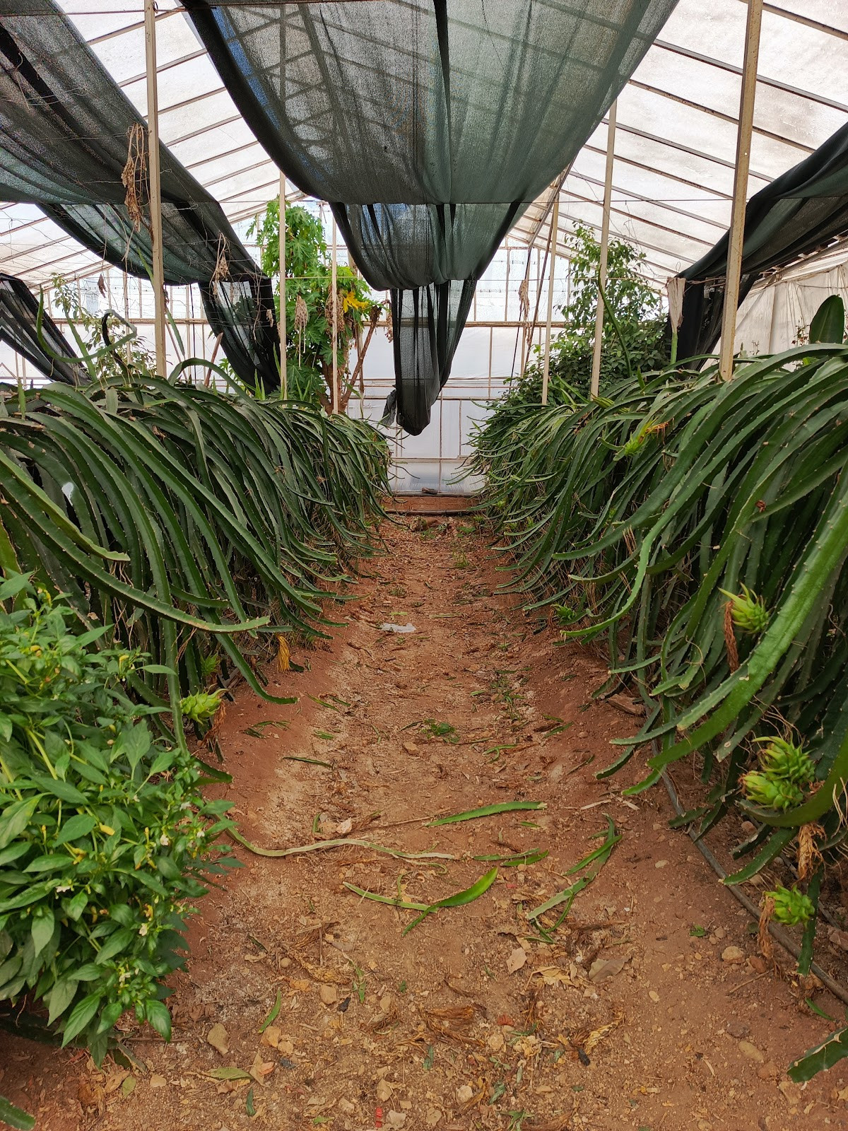 myra spa – Fotoğraf 7