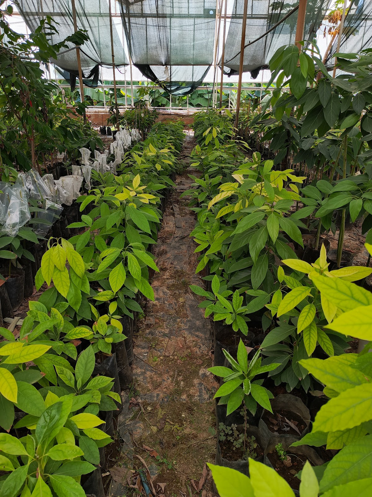 myra spa – Fotoğraf 2