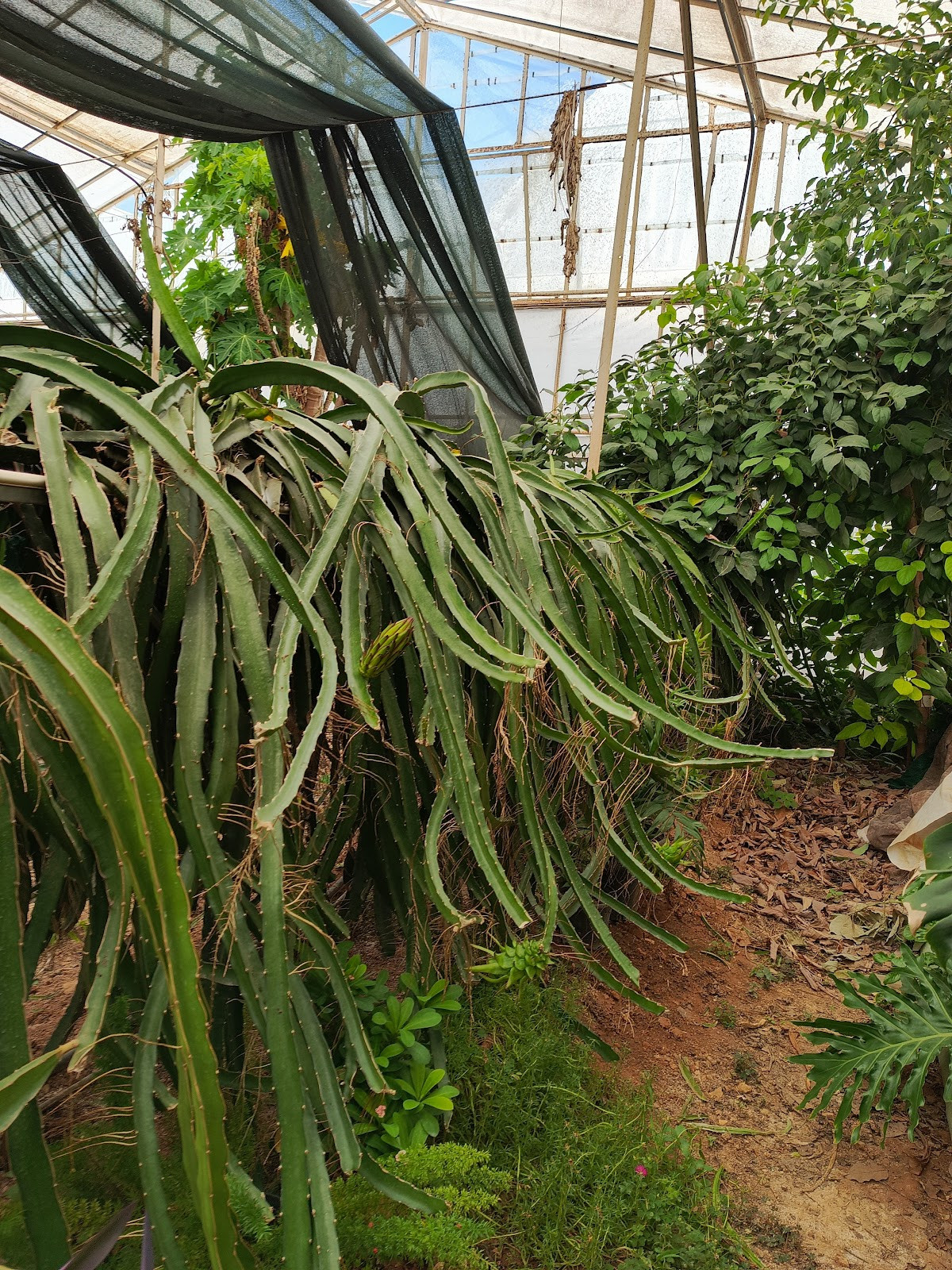 myra spa – Fotoğraf 8