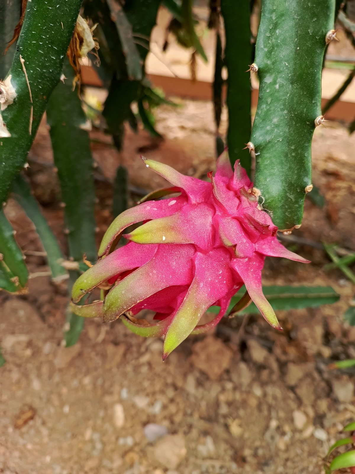 myra spa – Fotoğraf 10