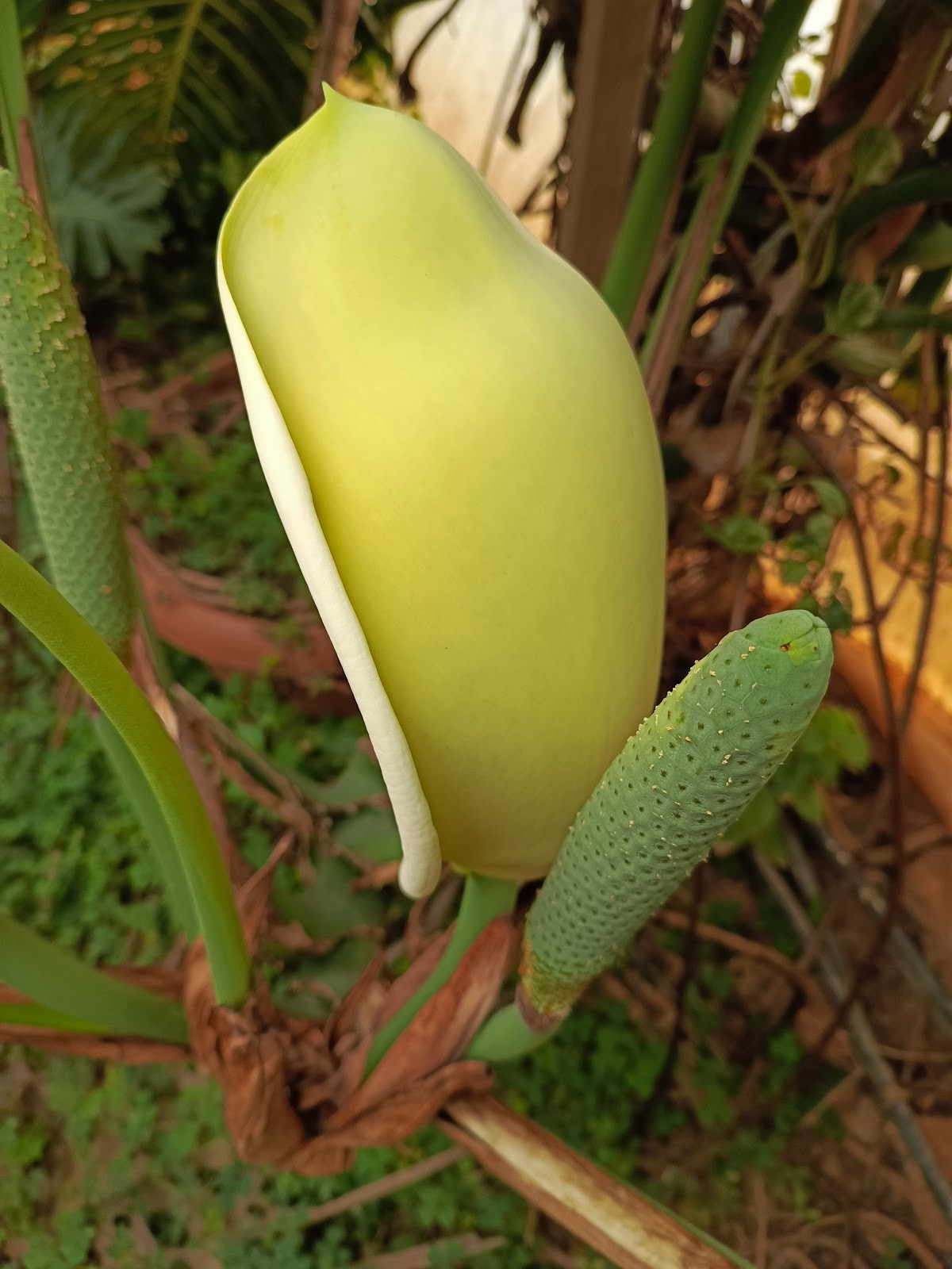 myra spa – Fotoğraf 9