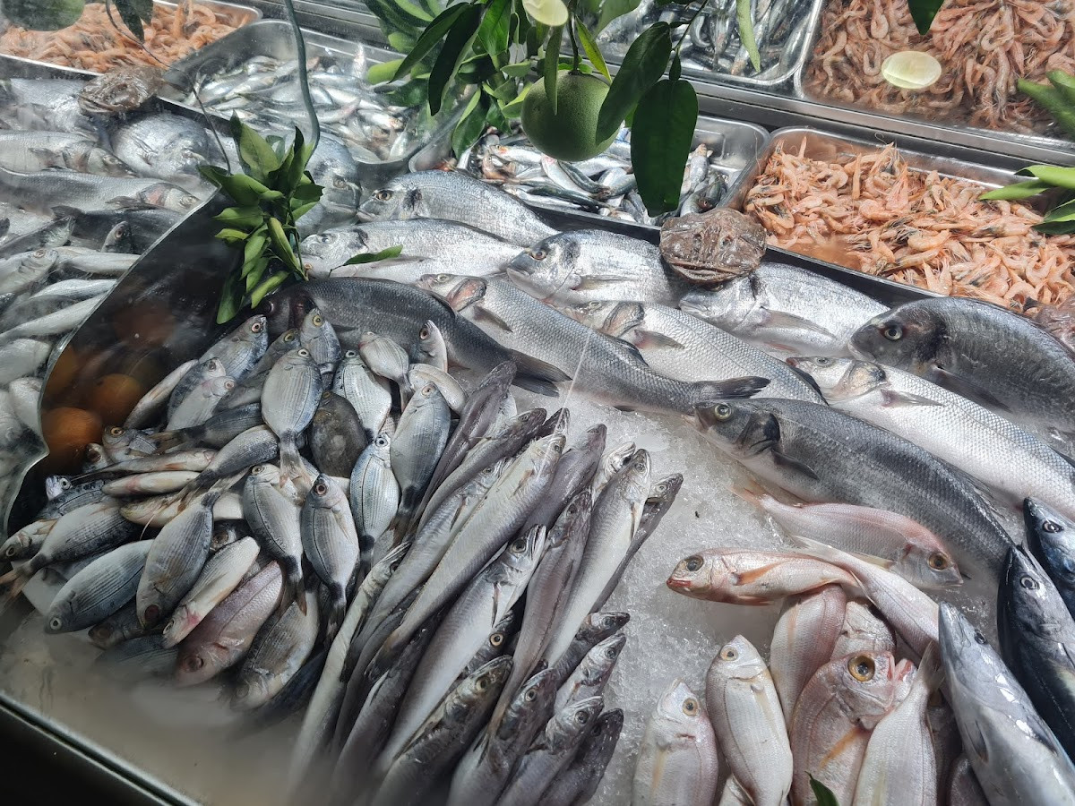 NEHİR BALIK EVİ – Fotoğraf 4