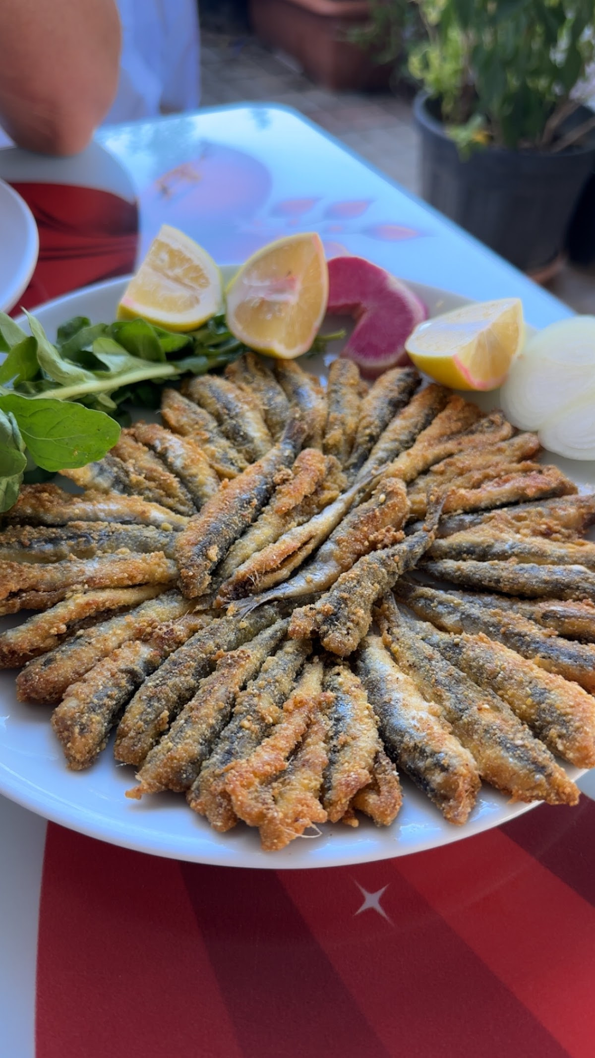 NEHİR BALIK EVİ – Fotoğraf 5