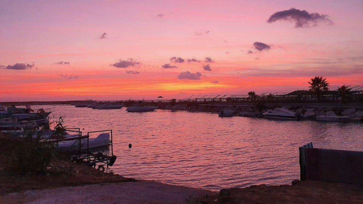 Neumann Evrenseki – Fotoğraf 8