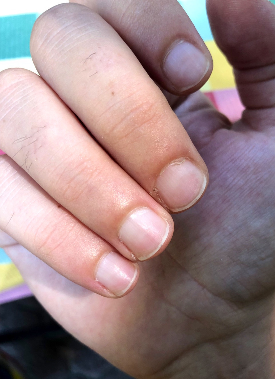 NZT Kuaför Alanya – Fotoğraf 4