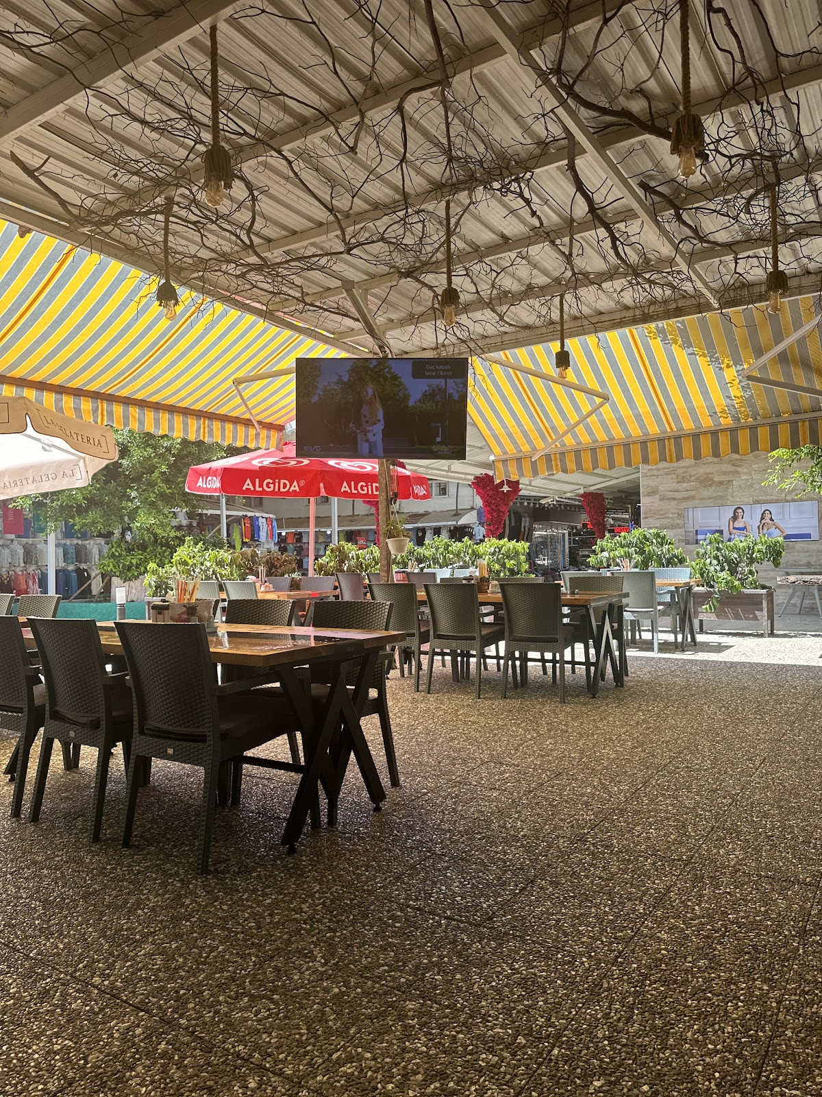 Okurcalar Belediyesi – Fotoğraf 7