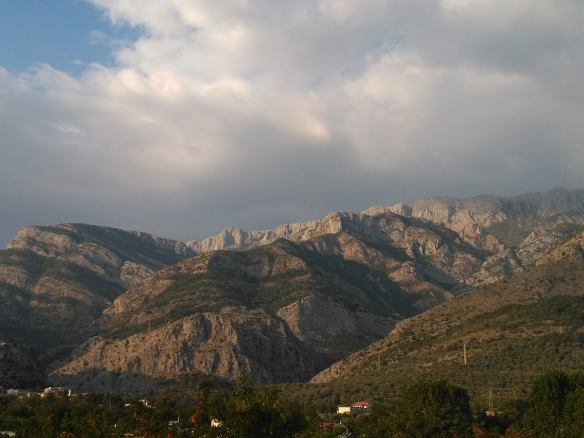 Old Olive Apartment – Fotoğraf 2