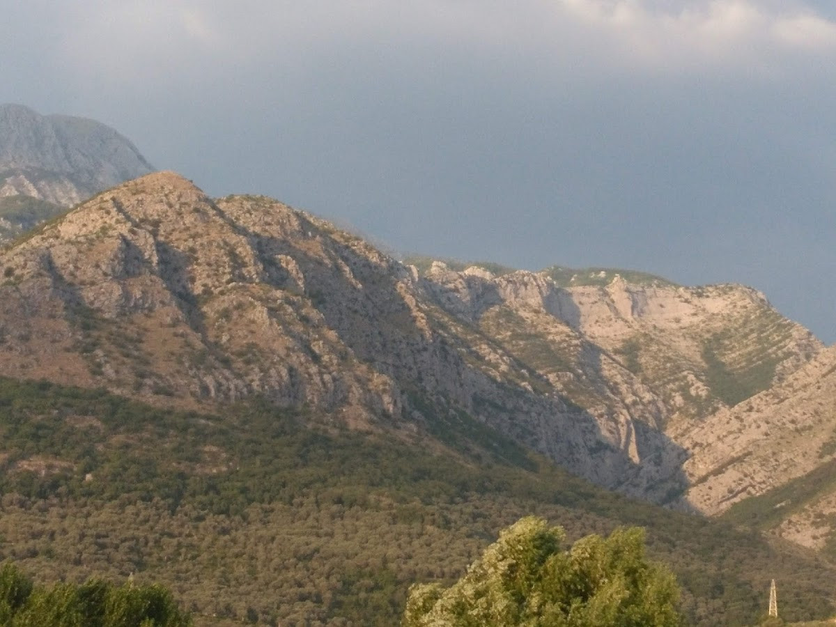 Old Olive Apartment – Fotoğraf 8