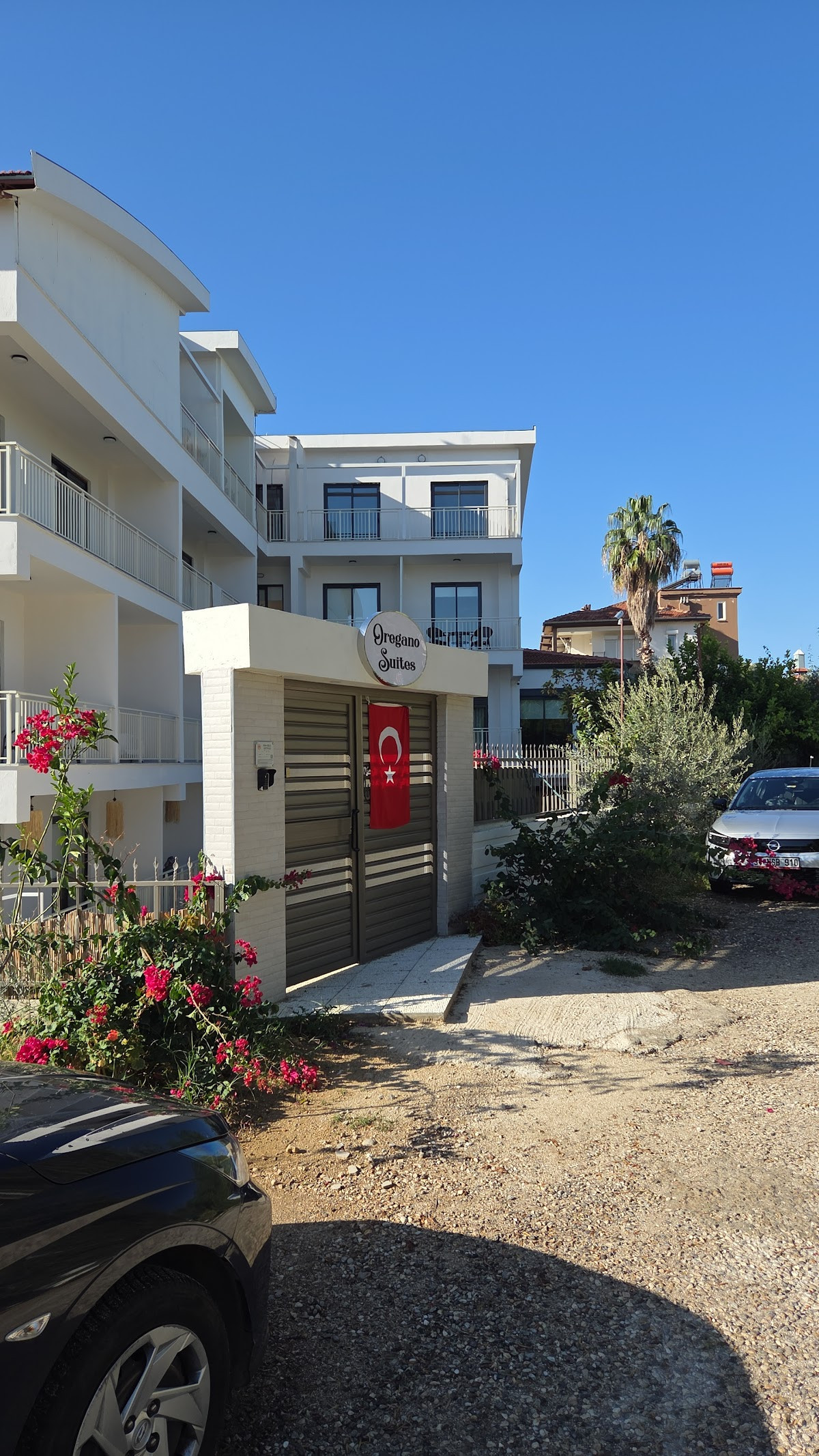 Oregano Side – Fotoğraf 10