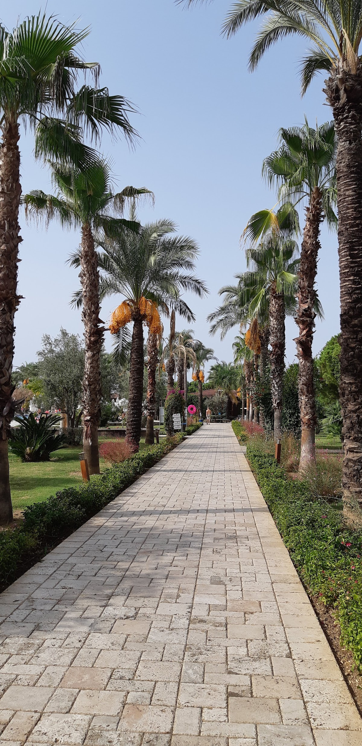 Otel Serra Palace – Fotoğraf 5