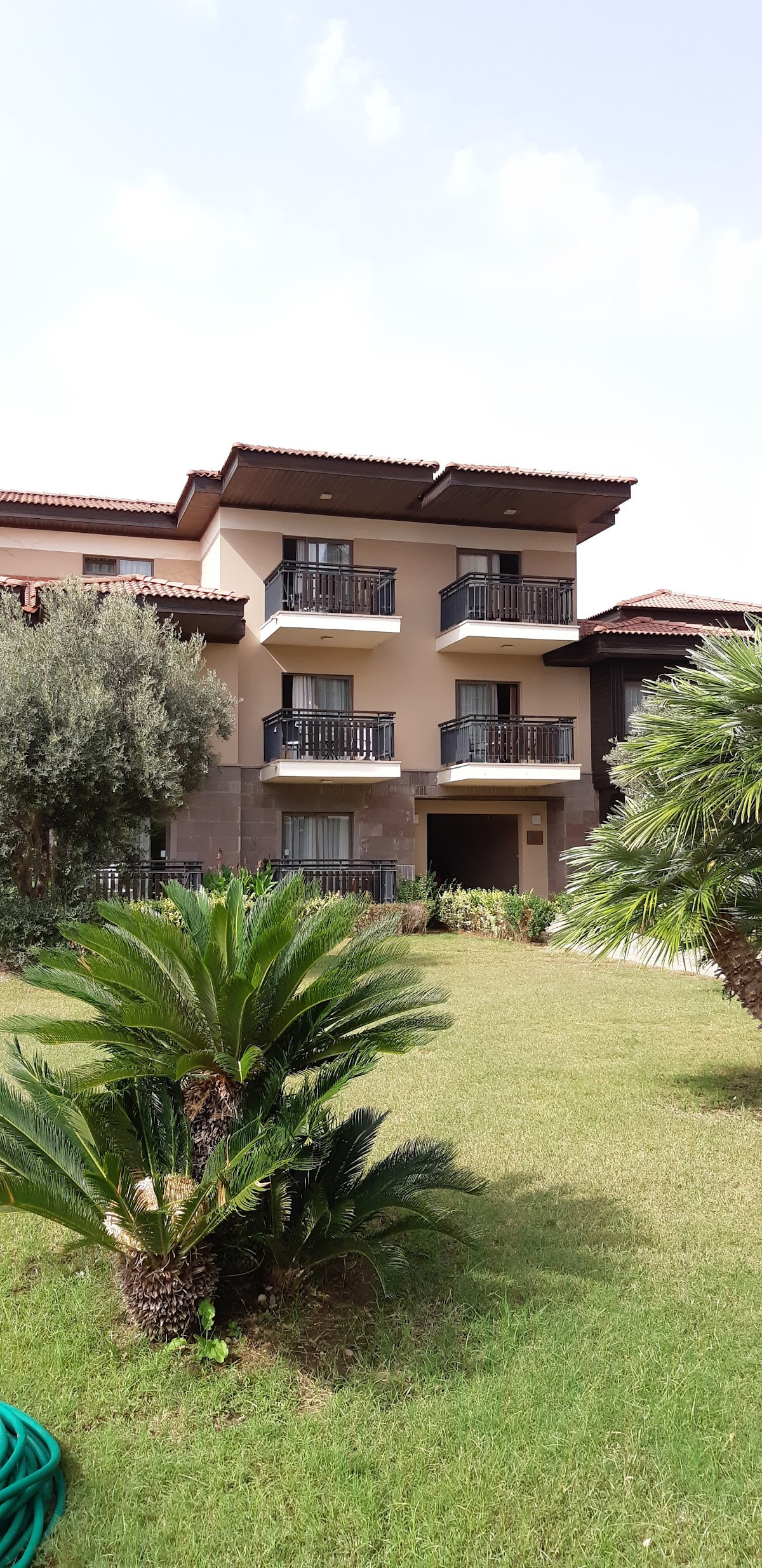 Otel Serra Palace – Fotoğraf 8