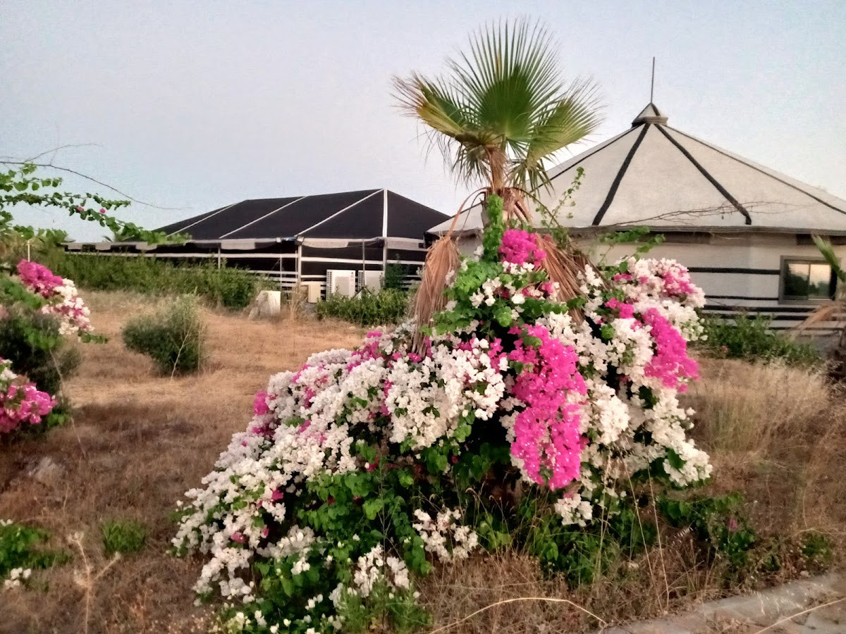Otel Serra Palace – Fotoğraf 10