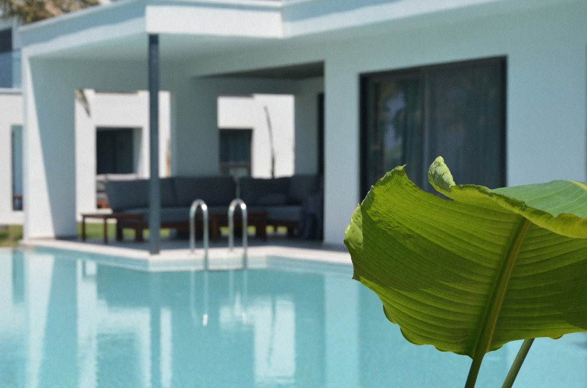 Paloma Finesse Side – Fotoğraf 8