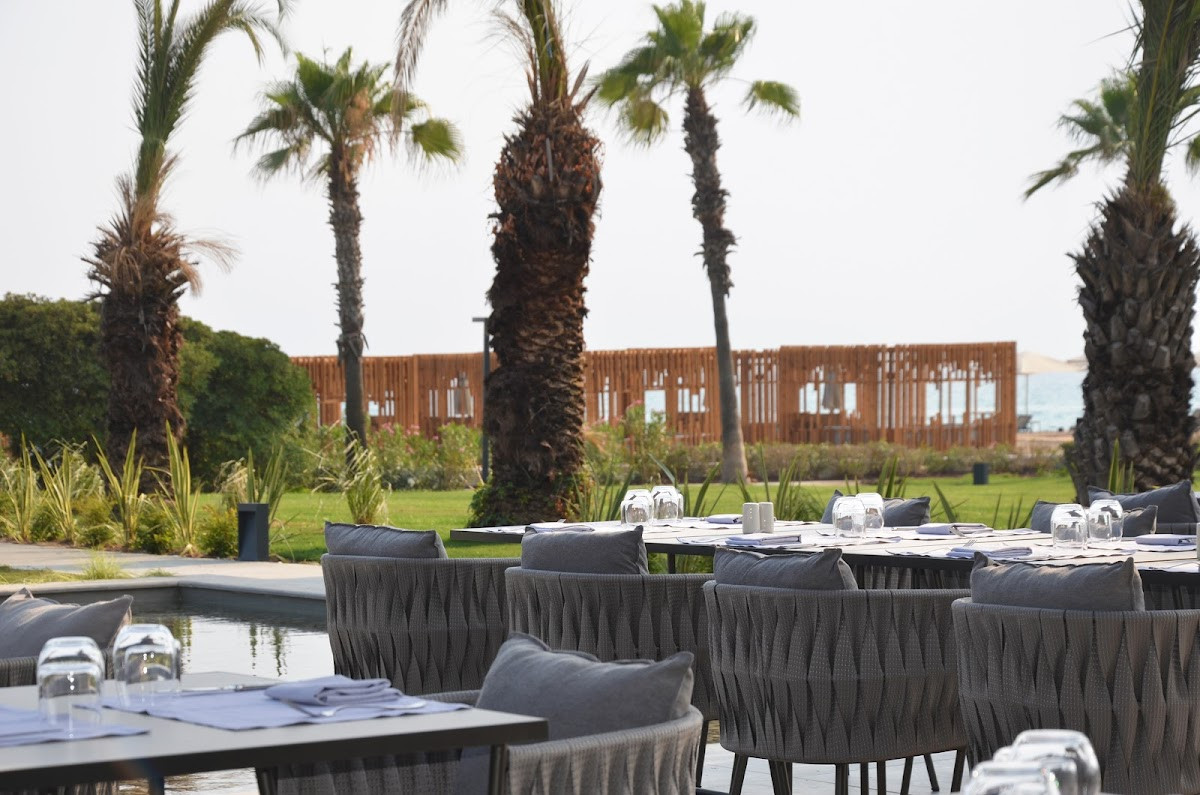 Paloma Finesse Side – Fotoğraf 10