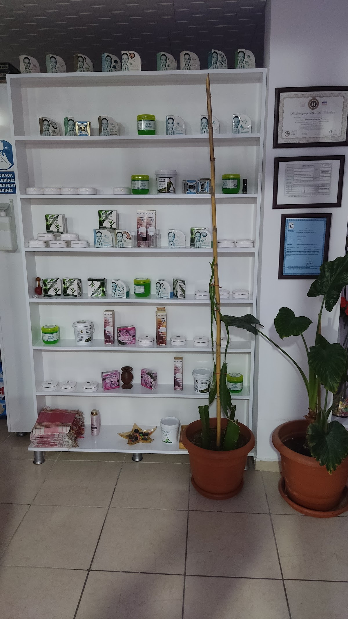 Paradise massage – Fotoğraf 7