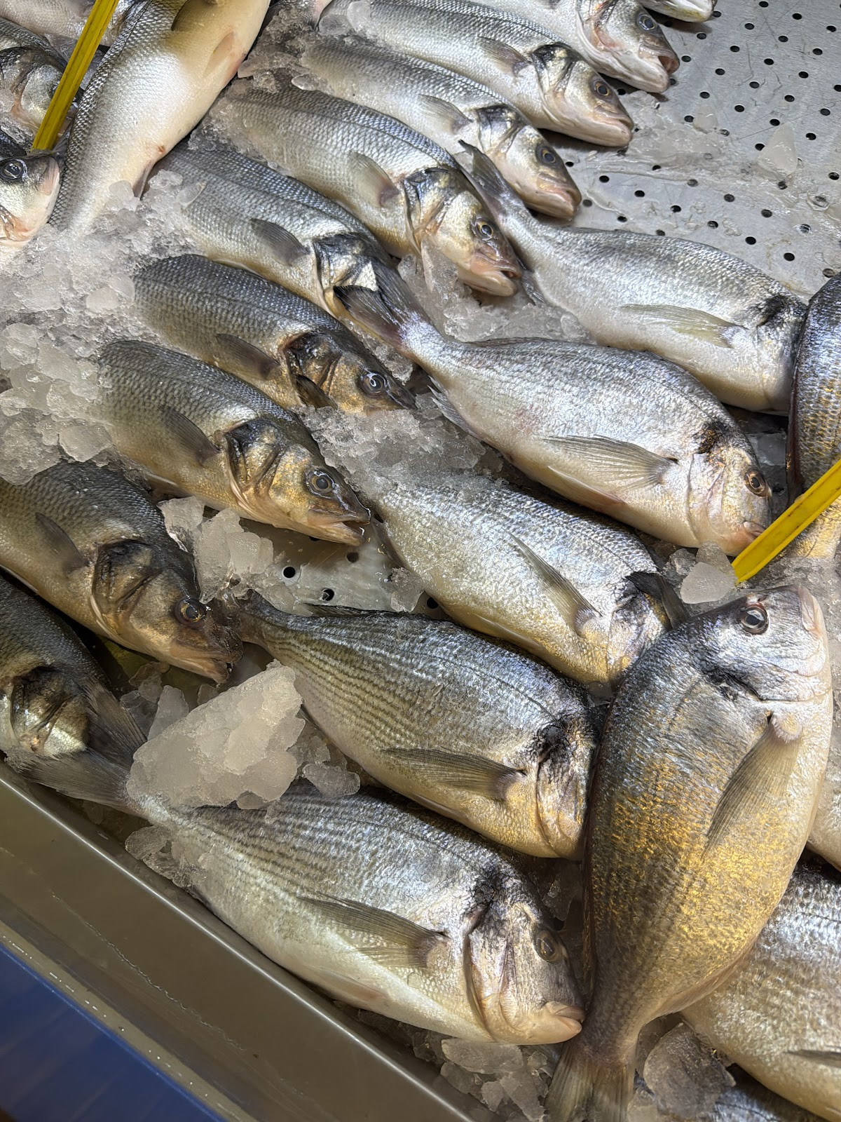 Pınar Balık Evi – Fotoğraf 4