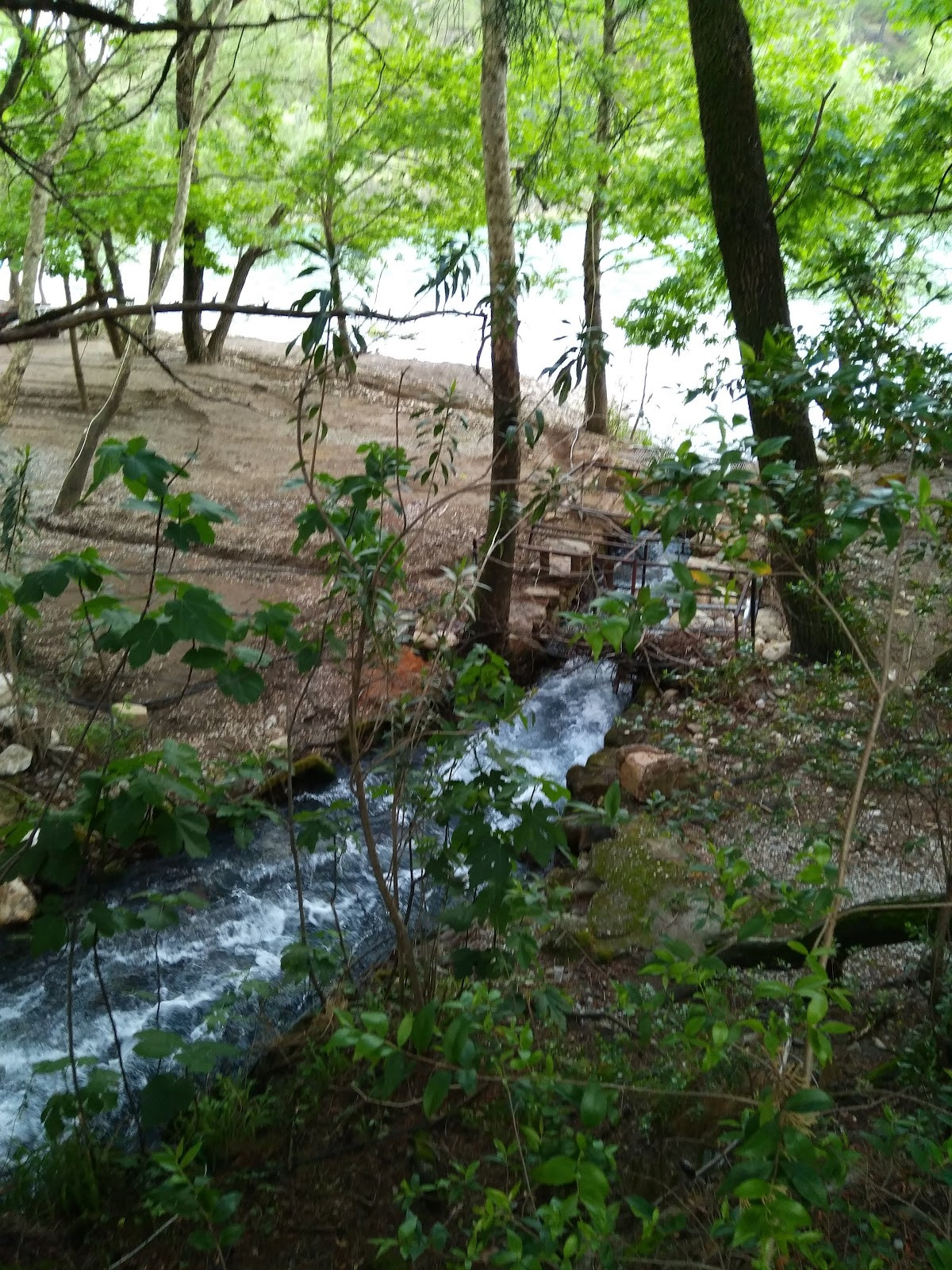 Rafting, Camping, Alabalık – Fotoğraf 5