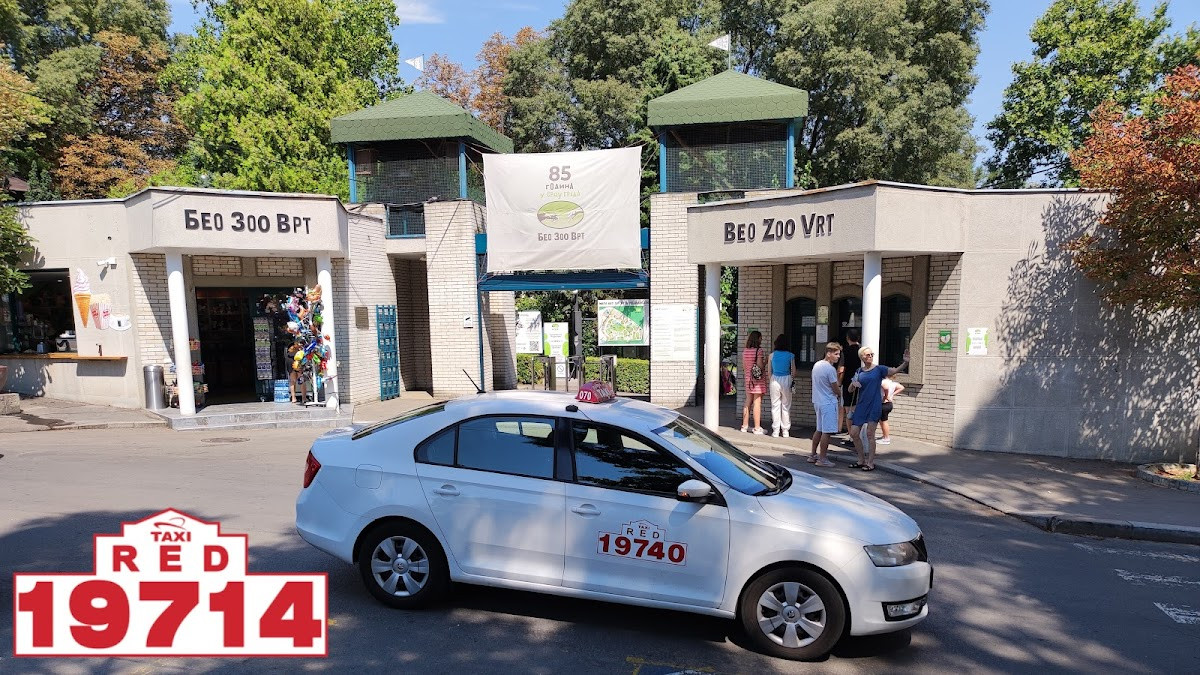 Red Taxi Montenegro – Fotoğraf 7