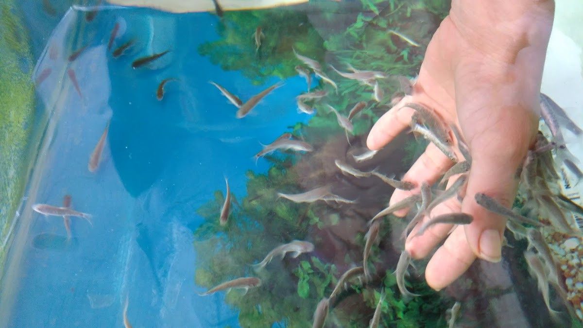 Relax Masaj – Fotoğraf 8