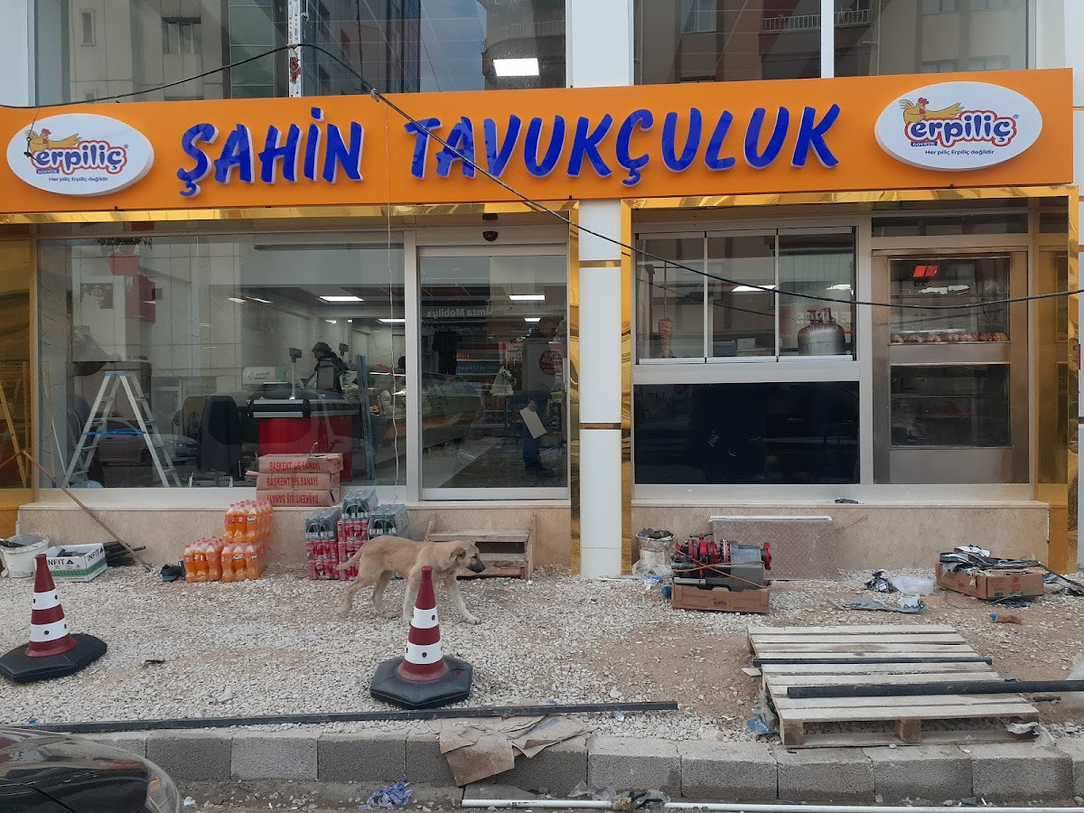 ŞAHİN TAVUKÇULUK – Fotoğraf 2